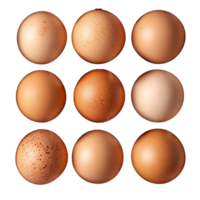 Various shades of eggs arranged in a grid pattern isolated transparent png