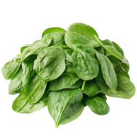 Fresh spinach leaves stacked on a white surface isolated transparent png