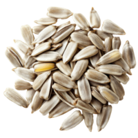 Sunflower seeds scattered on a white background isolated transparent png