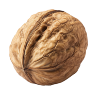 A large walnut resting on a white background isolated transparent png