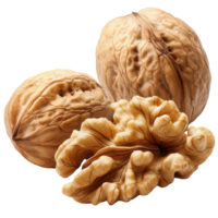 Fresh walnuts in shells on white isolated transparent png