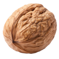 Detailed view of a walnut on a white background isolated transparent png