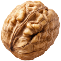 Walnut close up highlighting its texture isolated transparent png