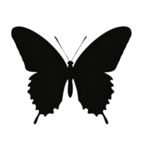 Elegant butterfly silhouette with patterns transparent png