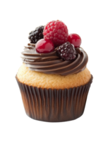 Chocolate cupcake with fresh berries transparent png