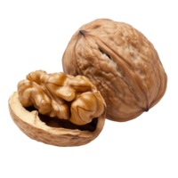 Walnuts with shell and nut on white transparent png