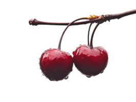 Fresh cherries with water droplets on branch transparent png