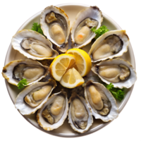 Fresh oysters on a plate with lemon and garnish png