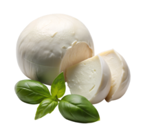 Basil topped fresh mozzarella display png