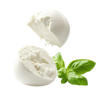 Mozzarella with basil leaves displayed png