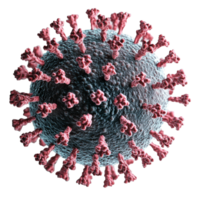 Microscopic view of virus structure png