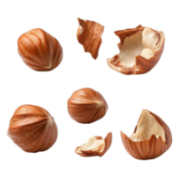 Hazelnuts cracking and peeling stages png