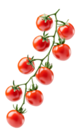Vine ripened cherry tomatoes on white png