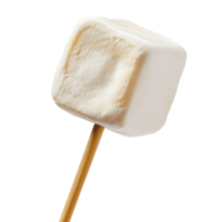 Roasting marshmallow on a stick png