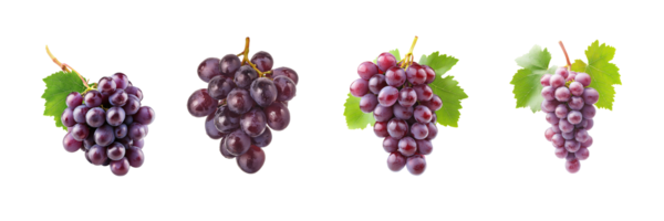A cluster of different grape varieties on display png