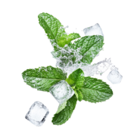 Mint leaves splashing into icy water png