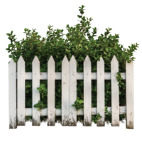 Lush greenery behind a rustic white picket fence png
