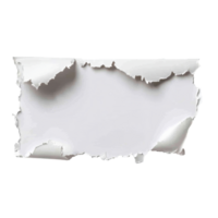 Torn paper on clean background for design png