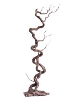 Gnarled tree trunk shows natures art png