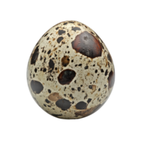Quail egg with speckled shell resting on a surface png