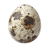 Unique speckled egg resting on a plain surface png