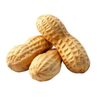 Peanuts in shells on white background png