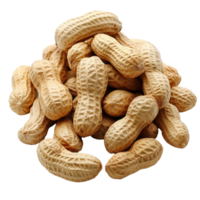 Neatly arranged raw peanuts in shells png