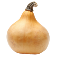 Smooth skinned gourd on white background png