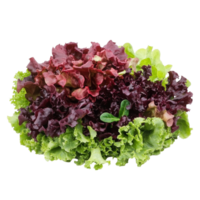 Mixed lettuce assortment on table png