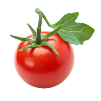 Fresh red tomato with green stem and leaf detail png