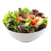 Fresh garden salad with tomatoes and mixed greens png