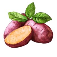 Fresh sweet potatoes with green leaves on display png