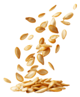 Falling pumpkin seeds captured in mid air display png