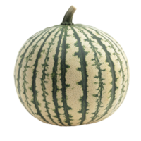 Striped melon on plain background png