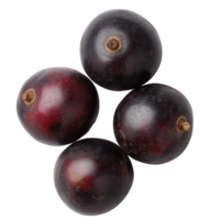 Fresh blackcurrants on a plain backdrop png