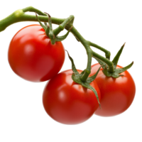 Ripe red tomatoes on the vine png