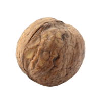 A close look at a textured walnut shell on display png