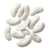 White kidney beans arranged on a plain background png