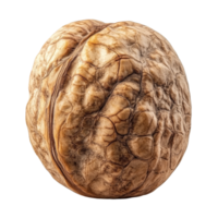 Intricate walnut with unique shell texture png