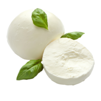 Mozzarella and basil on display png