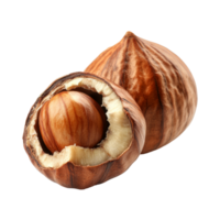 Fresh hazelnuts with shells displayed on a surface png
