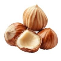 Freshly harvested hazelnuts on a white background png