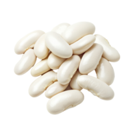 White beans arranged neatly on a clean surface png