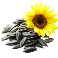 Sunflower seeds on a white backdrop png