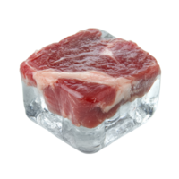 Fresh cut of meat frozen in a block of ice png