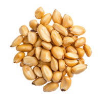 Freshly roasted golden peanuts ready for snacking png