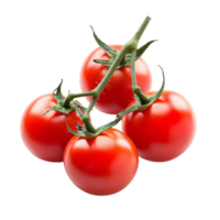 Fresh red tomatoes on a vine in a studio setting png