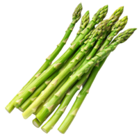 Fresh asparagus stalks on a white background png
