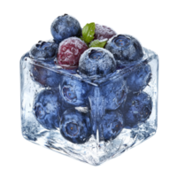 Frozen berries in clear ice cube png