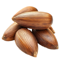 Delicious pine nuts freshly harvested from trees png